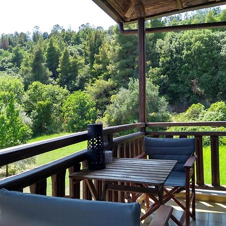 Elaionas Villa Ierissós Ngoại thất bức ảnh